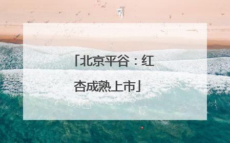 北京平谷：红杏成熟上市