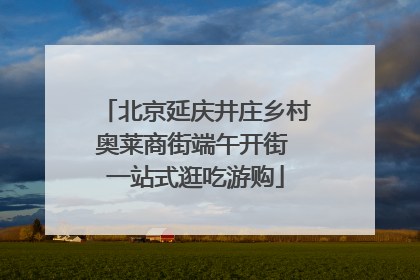 北京延庆井庄乡村奥莱商街端午开街 一站式逛吃游购