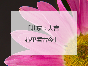 北京：大吉巷里看古今