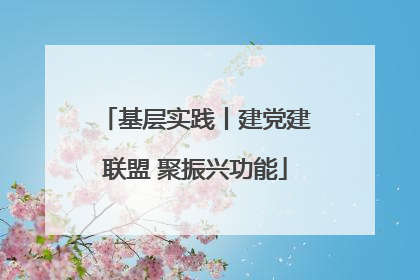 基层实践丨建党建联盟 聚振兴功能