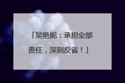 吴艳妮：承担全部责任，深刻反省！