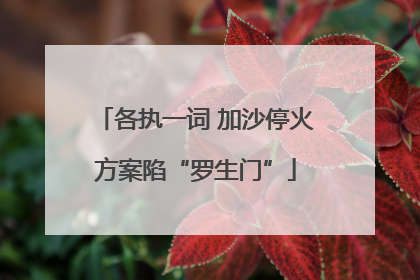 各执一词 加沙停火方案陷“罗生门”
