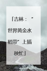 吉林：“世界黄金水稻带”上插秧忙