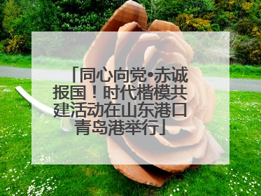 同心向党•赤诚报国！时代楷模共建活动在山东港口青岛港举行