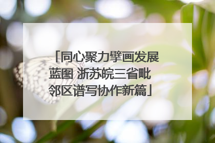 同心聚力擘画发展蓝图 浙苏皖三省毗邻区谱写协作新篇