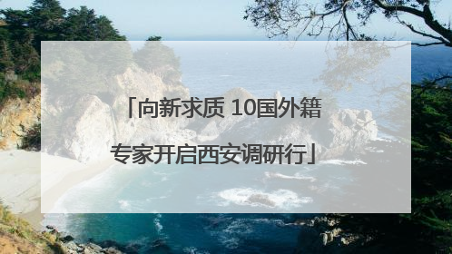 向新求质 10国外籍专家开启西安调研行