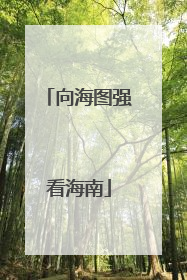 向海图强看海南