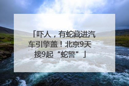 吓人，有蛇藏进汽车引擎盖！北京9天接9起“蛇警”