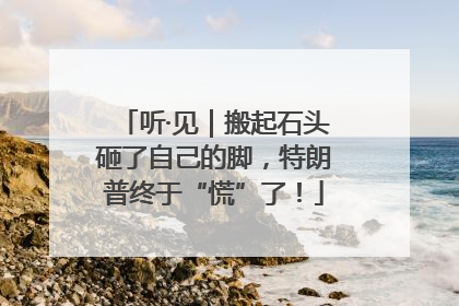 听·见｜搬起石头砸了自己的脚，特朗普终于“慌”了！