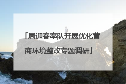 周迎春率队开展优化营商环境整改专题调研