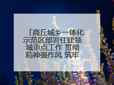 商丘城乡一体化示范区部署住建领域重点工作 贯彻精神强作风 筑牢民生底线促发展