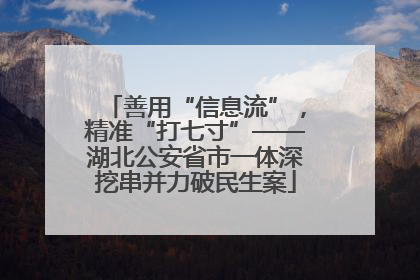 善用“信息流”，精准“打七寸”——湖北公安省市一体深挖串并力破民生案
