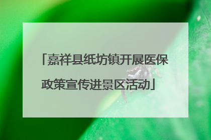 嘉祥县纸坊镇开展医保政策宣传进景区活动