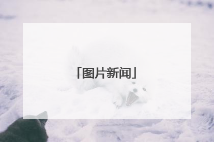 图片新闻