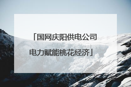 国网庆阳供电公司电力赋能桃花经济