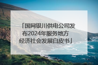 国网银川供电公司发布2024年服务地方经济社会发展白皮书