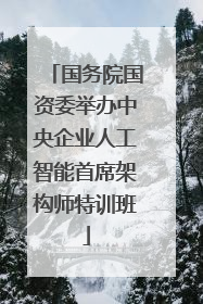 国务院国资委举办中央企业人工智能首席架构师特训班