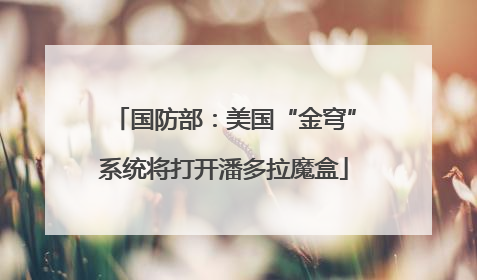 国防部：美国“金穹”系统将打开潘多拉魔盒