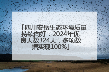 四川安岳生态环境质量持续向好：2024年优良天数324天，多项数据实现100%