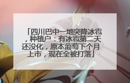 四川巴中一地突降冰雹，种植户：有冰雹第二天还没化，原本葡萄下个月上市，现在全被打落
