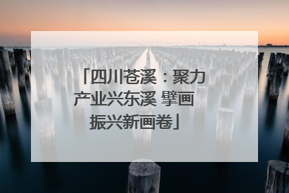 四川苍溪：聚力产业兴东溪 擘画振兴新画卷