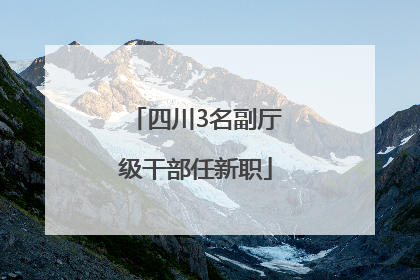 四川3名副厅级干部任新职