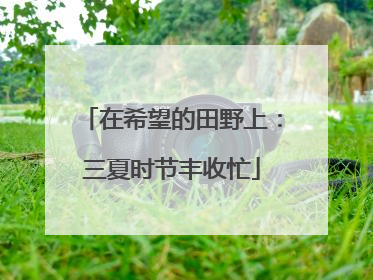 在希望的田野上：三夏时节丰收忙