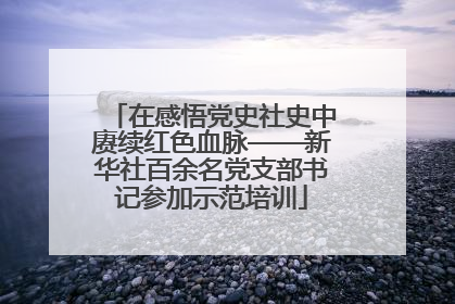 在感悟党史社史中赓续红色血脉——新华社百余名党支部书记参加示范培训