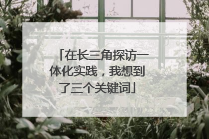 在长三角探访一体化实践，我想到了三个关键词