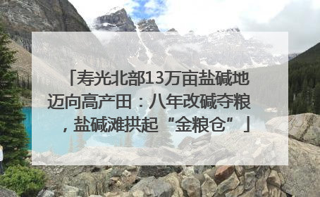 寿光北部13万亩盐碱地迈向高产田：八年改碱夺粮，盐碱滩拱起“金粮仓”