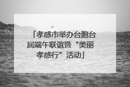 孝感市举办台胞台属端午联谊暨“美丽孝感行”活动