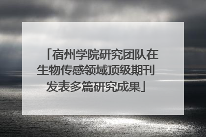 宿州学院研究团队在生物传感领域顶级期刊发表多篇研究成果
