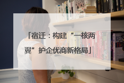 宿迁：构建“一核两翼”护企优商新格局