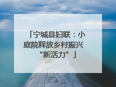 宁城县妇联：小庭院释放乡村振兴“新活力”