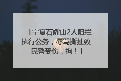 宁夏石嘴山2人阻拦执行公务，辱骂撕扯致民警受伤，拘！