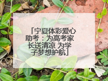 宁夏体彩爱心助考：为高考家长送清凉 为学子梦想护航
