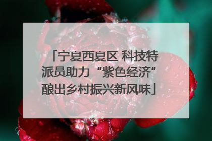 宁夏西夏区 科技特派员助力“紫色经济”酿出乡村振兴新风味