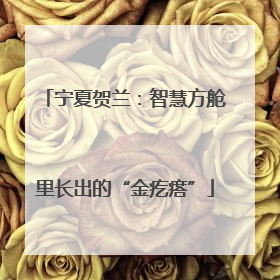 宁夏贺兰：智慧方舱里长出的“金疙瘩”