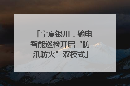 宁夏银川：输电智能巡检开启“防汛防火”双模式