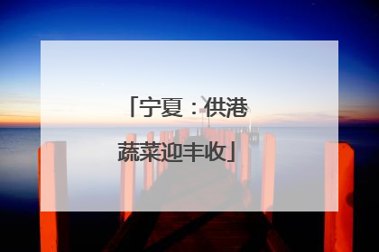 宁夏：供港蔬菜迎丰收