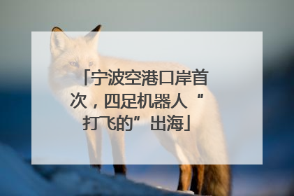 宁波空港口岸首次，四足机器人“打飞的”出海