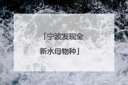 宁波发现全新水母物种