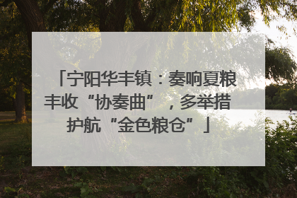 宁阳华丰镇：奏响夏粮丰收“协奏曲”，多举措护航“金色粮仓”