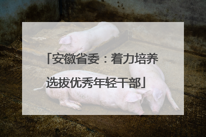安徽省委：着力培养选拔优秀年轻干部