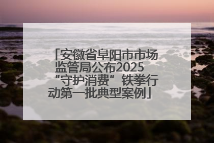 安徽省阜阳市市场监管局公布2025“守护消费”铁拳行动第一批典型案例