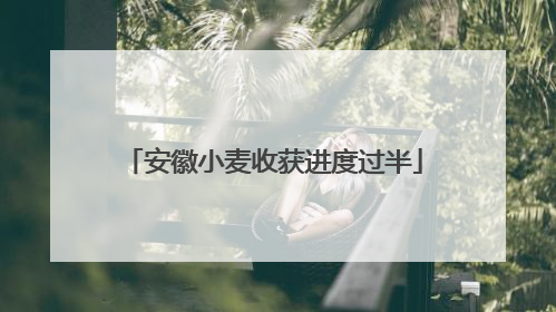 安徽小麦收获进度过半