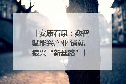 安康石泉：数智赋能兴产业 铺就振兴“新丝路”