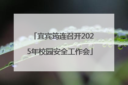 宜宾筠连召开2025年校园安全工作会