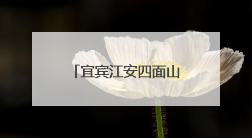 宜宾江安四面山镇中心幼儿园：党员引领亮初心，先锋示范做表率