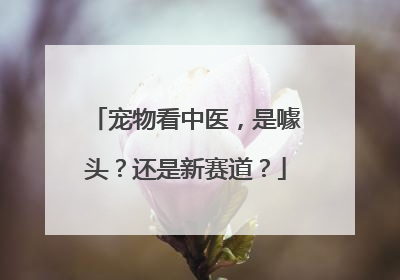 宠物看中医，是噱头？还是新赛道？